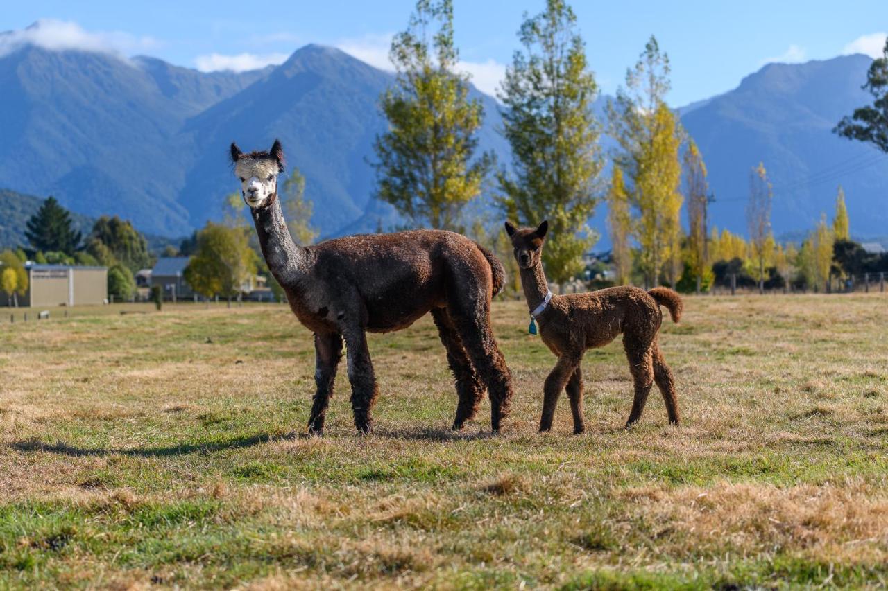 Kepler Mountain View Villa Manapouri Dış mekan fotoğraf